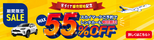スカイマークご予約でレンタカー MAX55%OFF 期間限定SALE