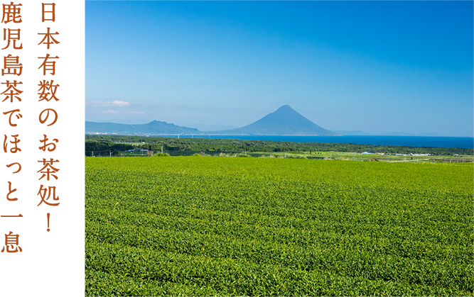 日本有数のお茶処！鹿児島茶でほっと一息