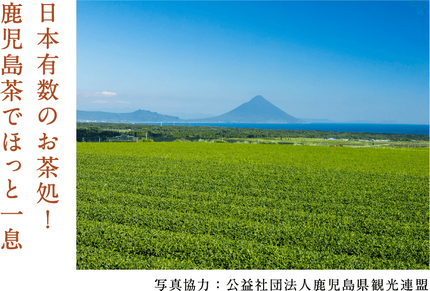 日本有数のお茶処！鹿児島茶でほっと一息