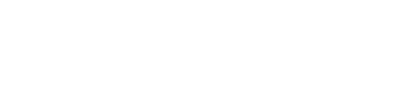 スカイマークのサービス