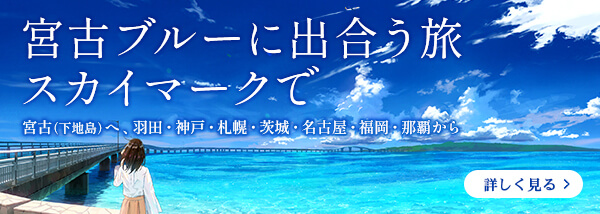 宮古ブルーで出会う旅　スカイマークで