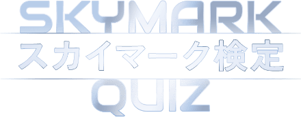 スカイマーク検定