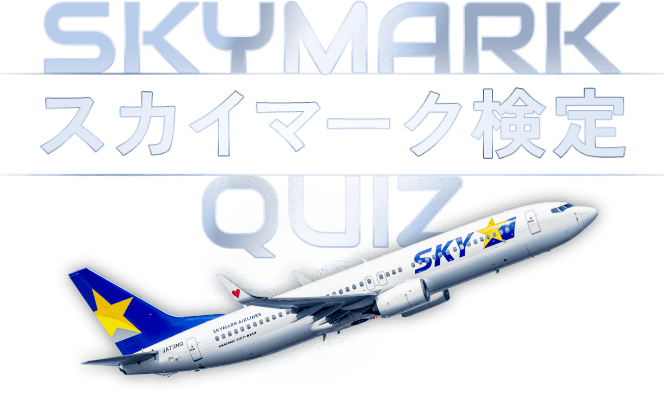 スカイマーク検定