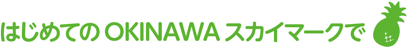 はじめてのOKINAWAスカイマークで