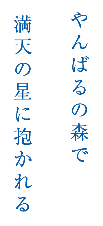 やんばるの森で満天の星に抱かれる