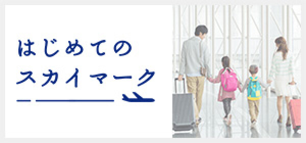 はじめてのスカイマーク