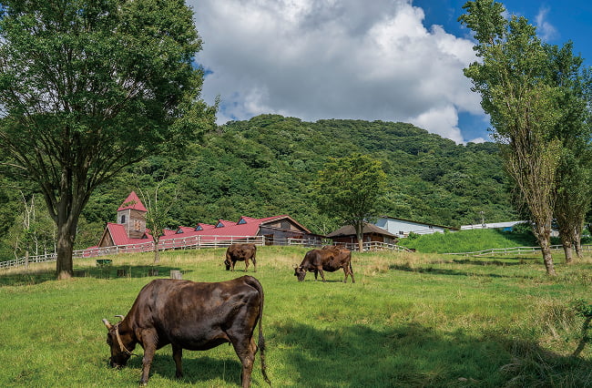 但馬牛博物館の画像