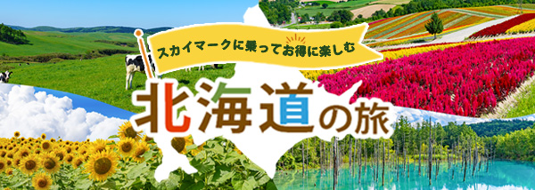 スカイマークに乗って、お得に楽しむ北海道の旅