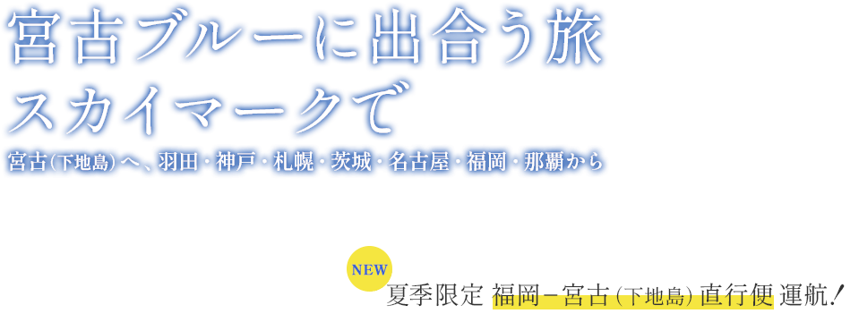 公式 スカイマーク Skymark 航空券予約 空席照会 運賃一覧 国内線