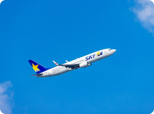 お好きな路線の往復航空券